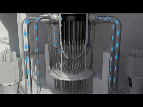 Siedewasserreaktor Reaktor