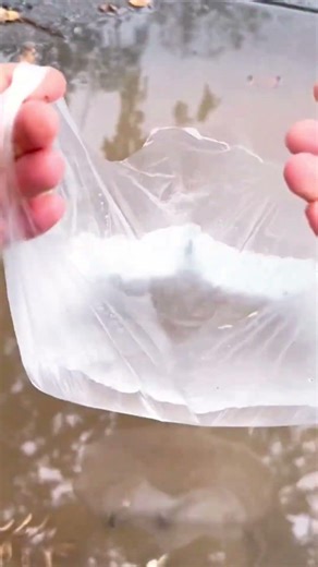 looking for objects that fell into the water using plastic bags #shorts #objects #plasticbags #water
