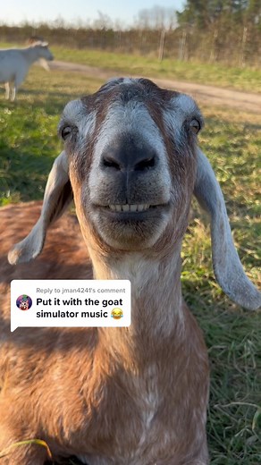 Goat Simulator Music: Memorable Songs from the Game