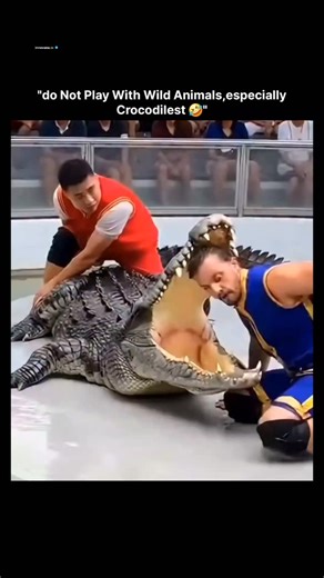 𝗂𝗇𝗇𝗈𝗏𝖺𝗍𝖾.𝗂𝗈 on Instagram: "This Instagram Reel captures a performance at a crocodile show in which two men—one wearing a red athletic shirt and the other a blue tank top—kneel beside a restrained crocodile and insert their heads into its open mouth, eliciting applause from an on-site audience. The footage appears to originate from a tourist-oriented wildlife attraction, likely in Thailand, where such staged interactions are common. The Reel was uploaded on December 20, 2025, by account