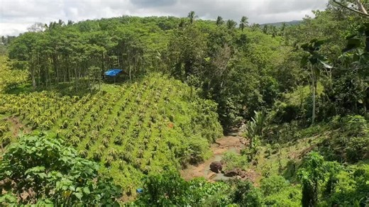 Zosha (@zosha912)’s videos with Hold On - Shamrock