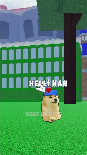 Doge meet Admin in Bloxfruits🙀🔝 | Doge Gaming