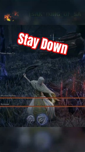 Overkilling an Invader Out of Pure Paranoia