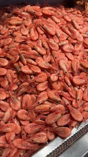 September er krabbetid! 🦀 Vi har helkokte krabbe, håndrensede krabbeskjell og ekstra store krabbeklør. Diskene bugner også av andre flotte skalldyr og fisk! 🦐🐟 blant annet norsk makrellstørje. En fantastisk delikatesse. #fiskehandler #brødreneberggren | Brødrene Berggren