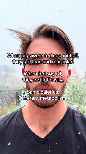 For decades, animal nutrition research has shown that the type of fat matters more than calories. In controlled feeding studies, pigs fed coconut oil or other saturated fats consistently developed leaner body composition and greater muscle mass, while pigs fed soy oil and other PUFA-rich seed oils gained fat more easily; even when calorie intake was similar. This difference isn’t about willpower or energy intake. It’s metabolic. Saturated fats like those in coconut oil are stable, support mitoch