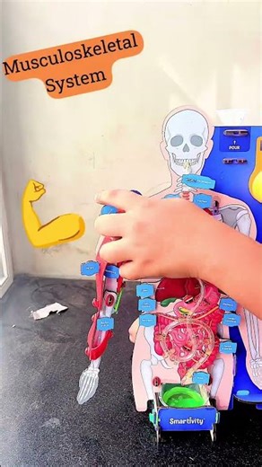 Smartivity Interactive Human Body 🧠 | Fun Science Toy for Kids