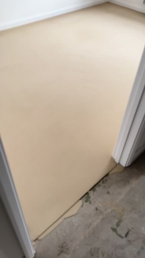 Dried Flooring Renovation in Progress