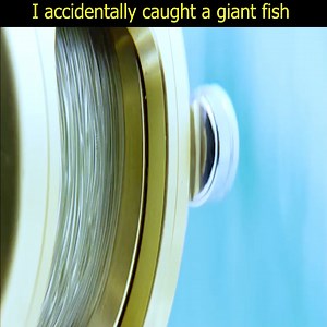 694K views · 4.2K reactions | Top movie Netflix 2023 #movie #clip #viral #monster #love #netflix #hollywood #marvelcomics #marvel #marvelmovies #ai #magic #ring #usa | Phim Tổng Hợp | Facebook