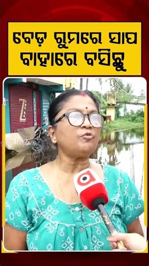 ବେଡରୁମରେ ସାପ ବାହାରେ ବସିଛୁ | Venomous Snake Found Inside Bedroom, Terrified Family | Argus News