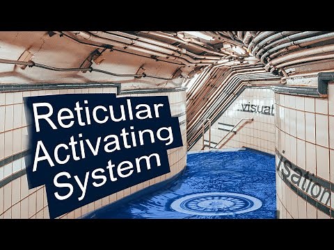 What the Reticular Activating System is and how knowing about it can help you
