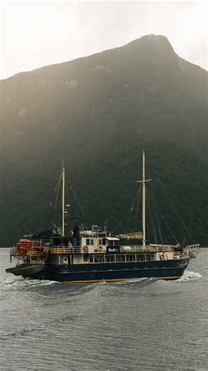 ally | photographer on Instagram: "The small quaint town of Manapouri is where the journey to Doubtful Sound begins. Where you step onto the boat and across the lake, mountains reflecting and water shimmering. Then it’s the climb over Wilmot Pass, a narrow, winding road with stories from the 1950s, when this journey was walked long before it was driven. The vast nothingness is everything in Doubtful Sound. Towering cliffs and glassy water with dolphins that cruise below the boats. And when the e
