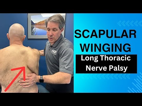 Winging Scapula - Long Thoracic Nerve Palsy Exam