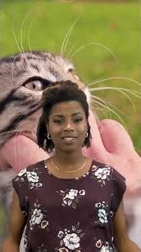 When Your Cat Makes YOU Liable — Neighbor Damage Explained!