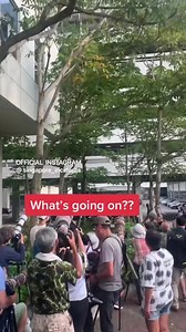 257K views · 1.2K reactions | Shooting bird at NTU campus | Singapore Incidents | Facebook