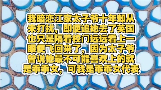 我暗恋江家太子爷十年却从未打扰，即便追她去了英国也只是隔着校门远远看上一眼便飞回来了，因为太子爷曾说他最不可能喜欢上的就是乖乖女，可我是乖乖女代表
