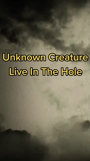 #fypシ #fy #scarytiktoks #horrortok #strang #unknown #mystery #creature #alien #ufo #scp #humanoide #creepypasta #djinn