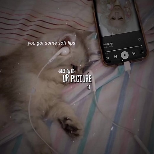 #CapCut #melting I love this song join this trend