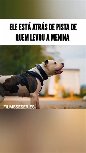 Mistério e Comédia em FILMESESERIES