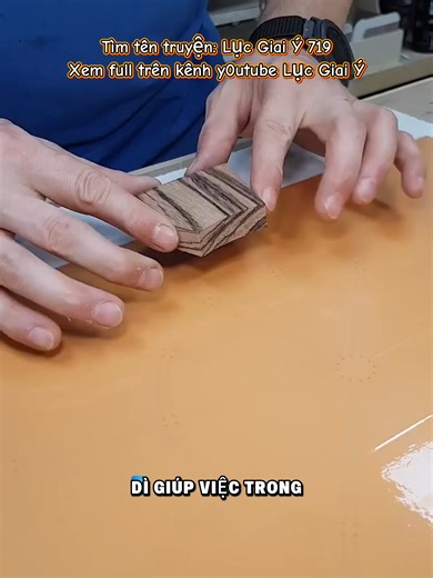 Dì Giúp Việc Nấu Ăn Ngon - Lục Giai Ý 719