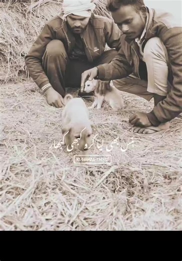 Misvideos en revisión: La frustración de la espera 🥺💔