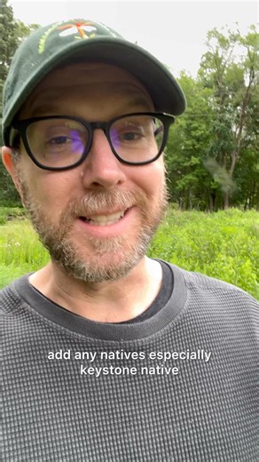 825K views · 11K reactions | Native plants aren’t just pretty — they’re powerful.  They feed birds, butterflies, and bees  They clean our water and air  They store carbon and heal soil And anyone can plant them — no experience, just care. Start today. Reconnect with nature where you live. | Homegrown National Park | Facebook