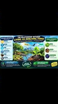 Recognizing Living Things/Classification Of Living Things
