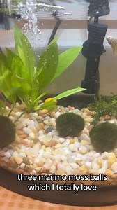 8.3K views · 131 reactions | I got these from Bella Luna Toys! If you’d like a set please use my link: https://shareasale.com/r.cfm?b=2455903&u=4309607&m=149313&urllink=&afftrack= | Just Like Home Daycare, Inc. | Facebook