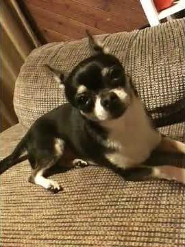 Me and Mr. Marbles havin a convo