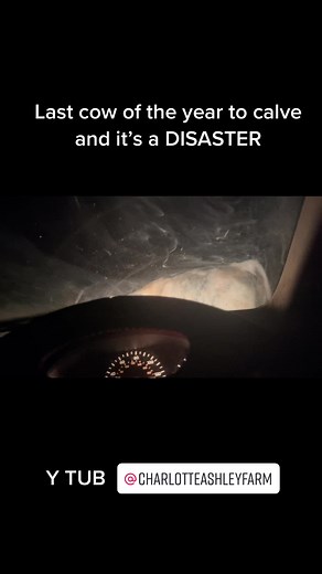 charlotte Ashley farm on TikTok