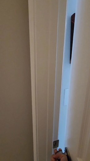 278K views · 10K reactions | my kitten rescue origin story and why I focus on bottle babies  #storytime #kittens #rescue #cute #fostercare #bottlebaby | The Kitten Foster | Facebook