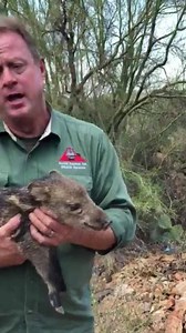 If you don’t live in Southern Arizona you may not know what this is | Animal Experts, Inc.