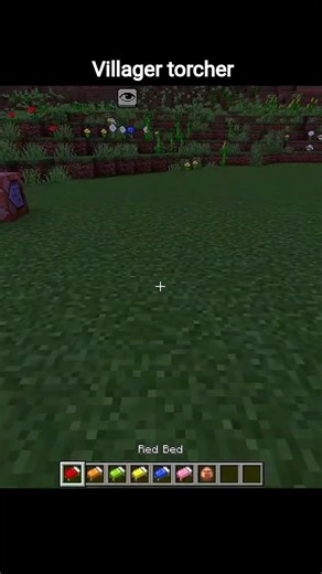 villager torcher #zrsgaming #minecraft #vairalvideo