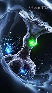 ⚡ How Food Turns into Energy Inside Your Cells | Cellular Respiration Explained | 3D Animation