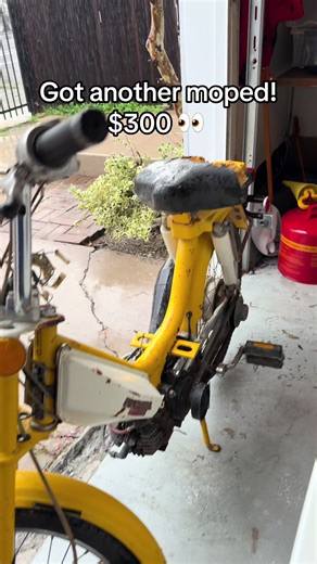 Moped Adventures: Embracing Rainy Rides on a Honda Hobbit