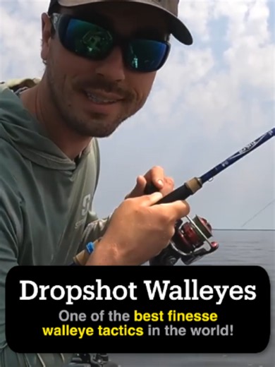 The dropshot is one of the most deadly walleye tactics that exists! Give it a try this summer! #walleye #dropshot #fishingtips