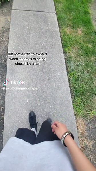 Excited Moments of a Cat Lover