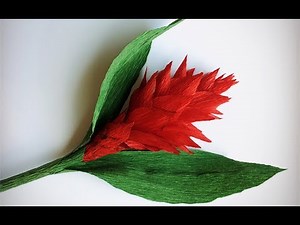ABC TV | How To Make Red Ginger Paper Flower From Crepe Paper - Craft Tutorial