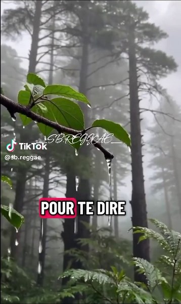 #tiktok #sb .reggae🇯🇲✅#le conseille de la vie d'un reggae man #
