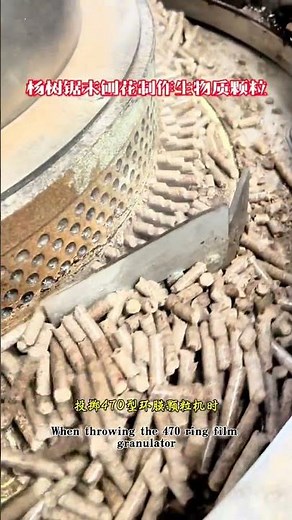 How to make pellets from poplar leaf sawdust