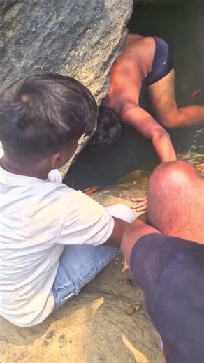 475k view 😱😱 Big fish 🐠🐠 #machhali #मछली #fish #trending #viral #shorts