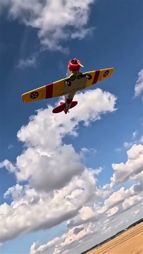 🚨 E-flite AT-6 Texan 1.5m is IN STOCK! The Most Realistic and Easiest-to-Fly Warbird Has Landed!