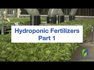 Hydroponic Fertilizers - Understanding Options and Stock Solutions