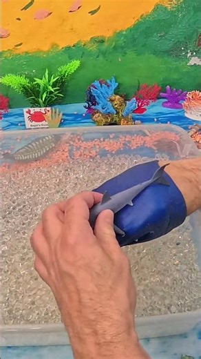 The Mako Shark | The Fastest Shark