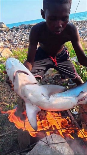 SHARK Gets Fire Grilled