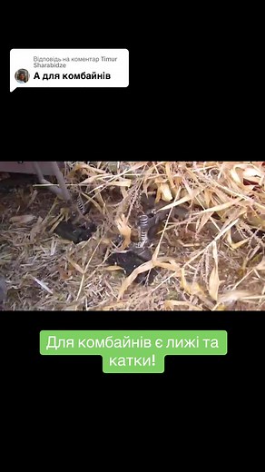 Відповідь користувачу @Timur Sharabidze #notill #ноутіл #агросфера #трактористыкомбайнер #джондирсила🚜😎 #кукуруза🌽