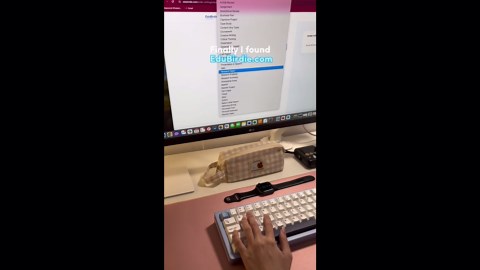 The Final Essay Struggle: Tips and Insights for Students