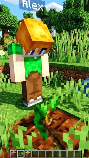 MINECRAFT The Infinite Planting