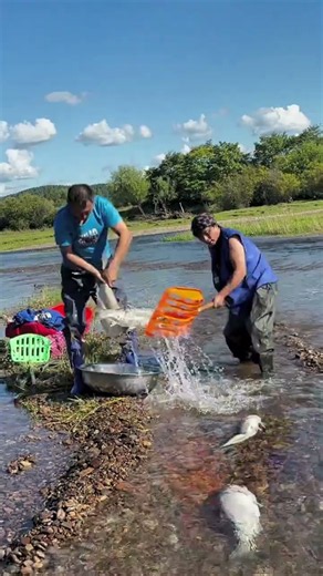 Traditional Fishing Hacks: You Won't Believe the Harvest!
