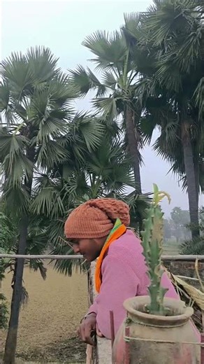 kiris ke sune ga gana #bhojpurimusic #dancedelight #bhojpuri #bhojpurisong #song