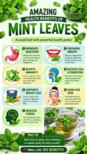 🌿 6 Amazing Benefits of Mint Leaves 🌿 | Boost Digestion & Immunity #shorts